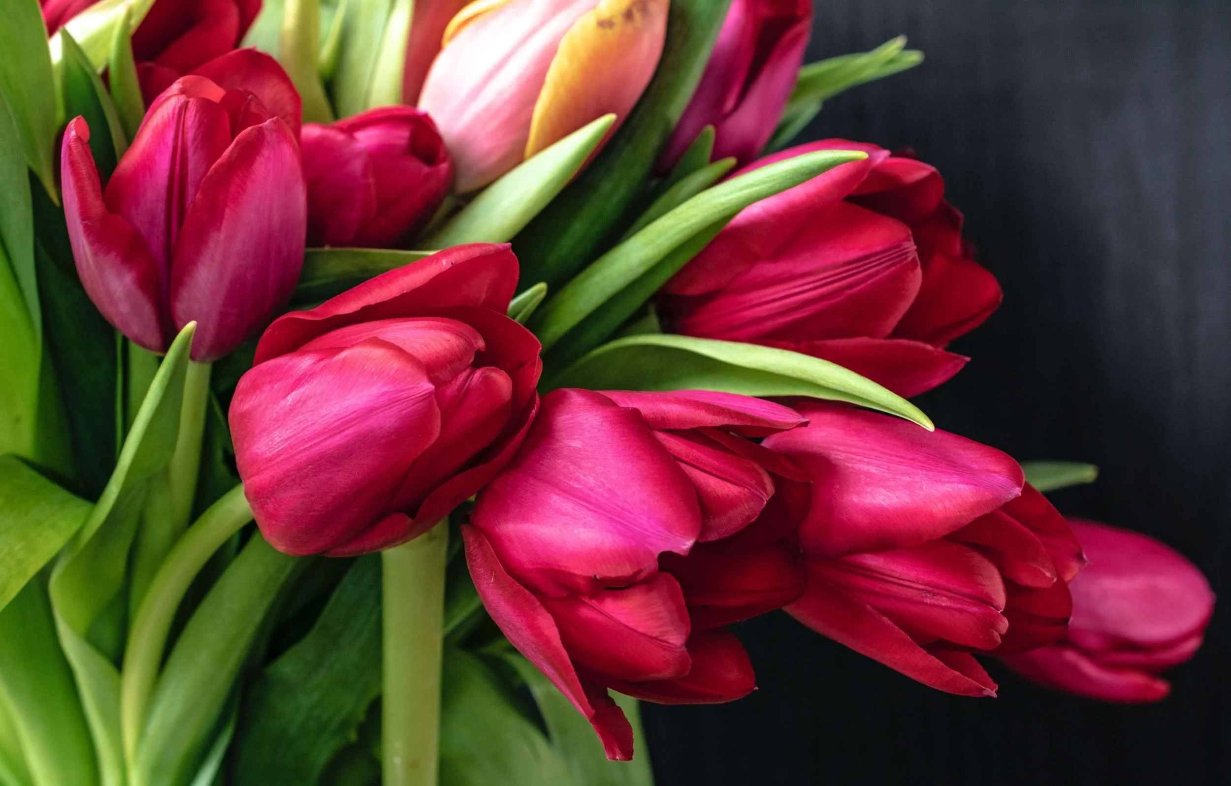 Få leveret tulipaner med Interflora